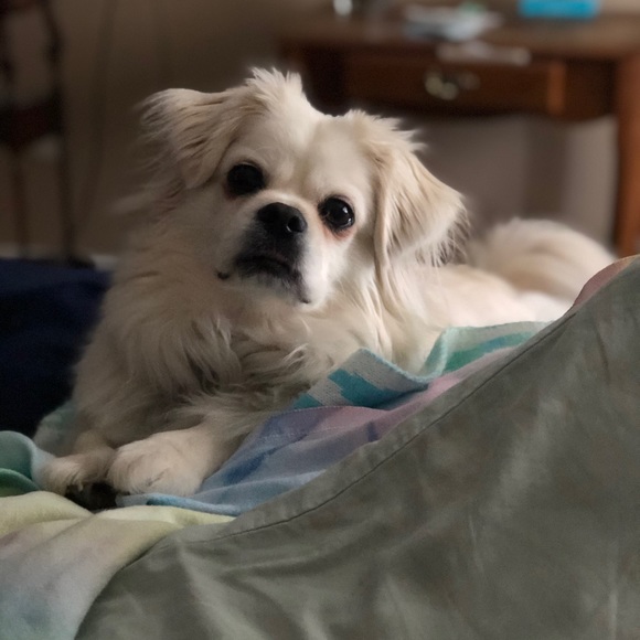 Nice to meet you! 😊🌻 - Picture 5 of 6